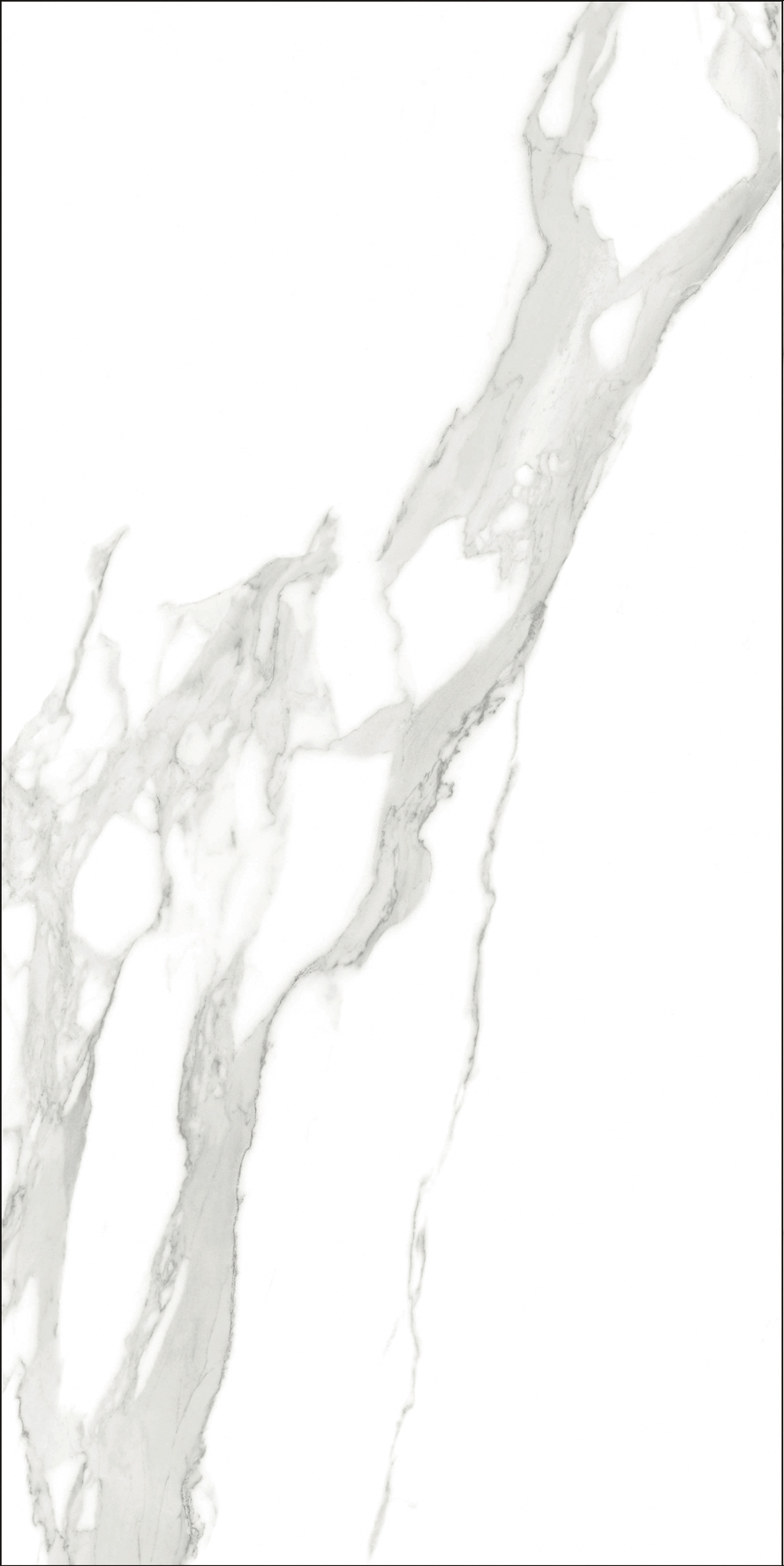 GA黄金甲·(中国区)官方网站