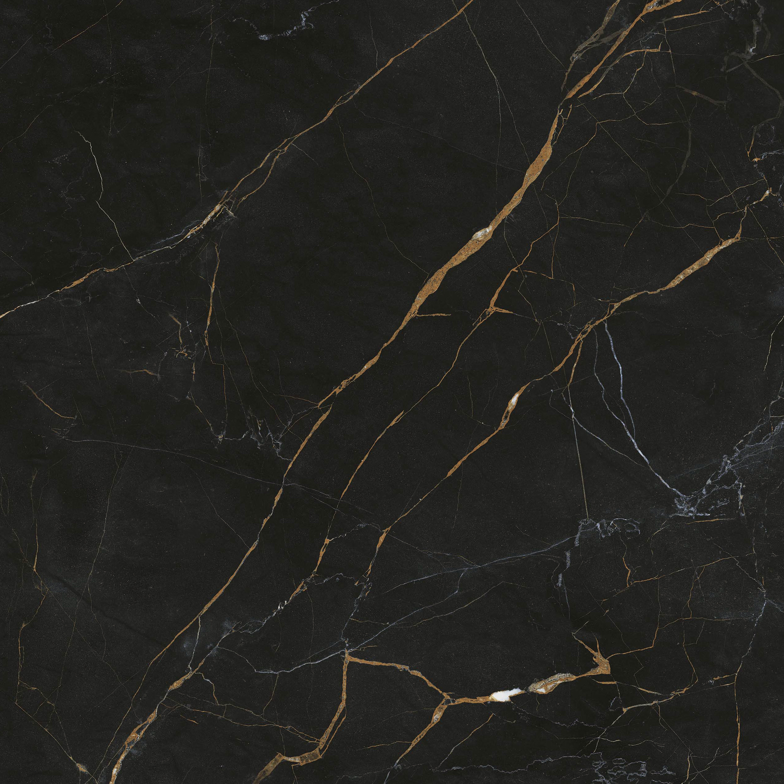 GA黄金甲·(中国区)官方网站