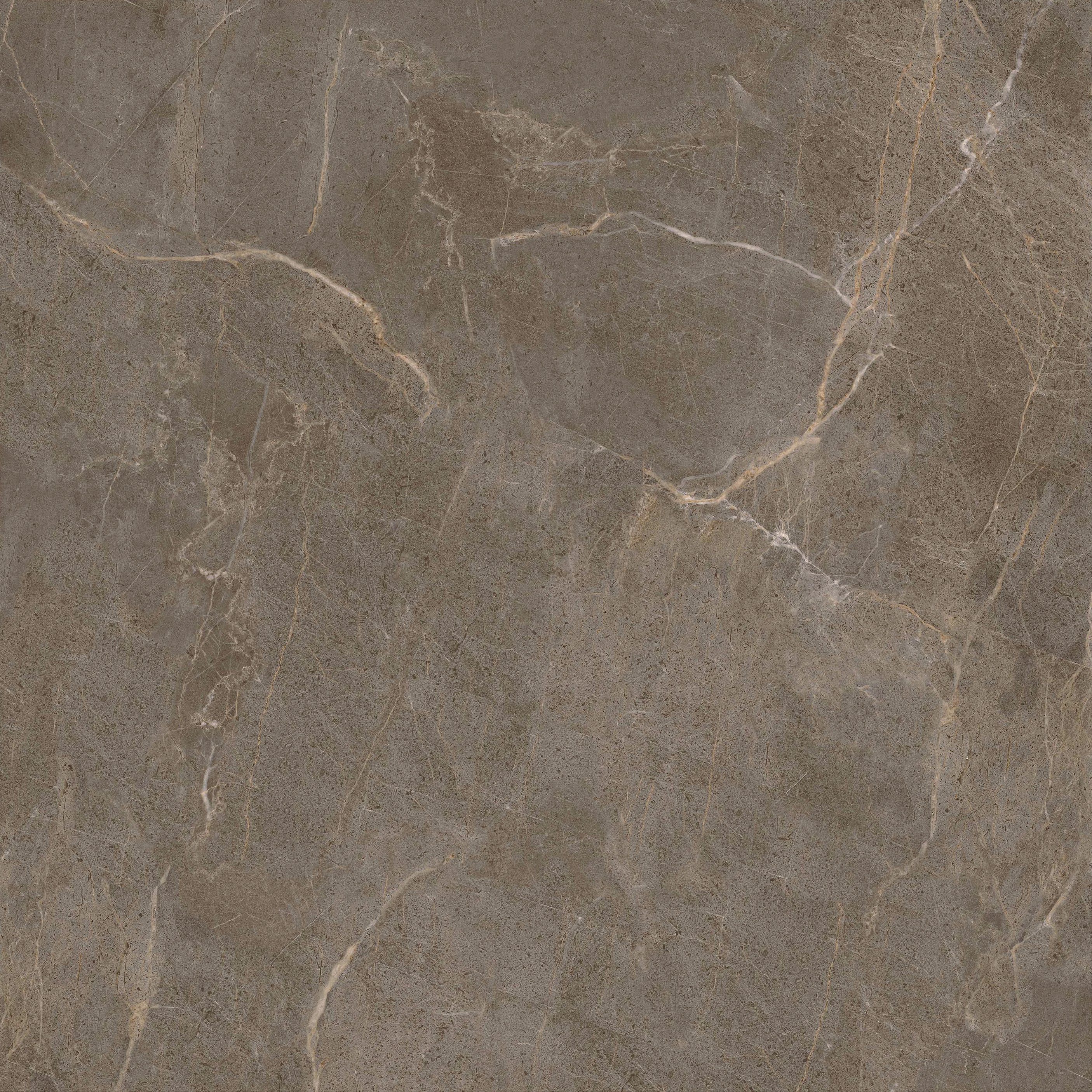 GA黄金甲·(中国区)官方网站