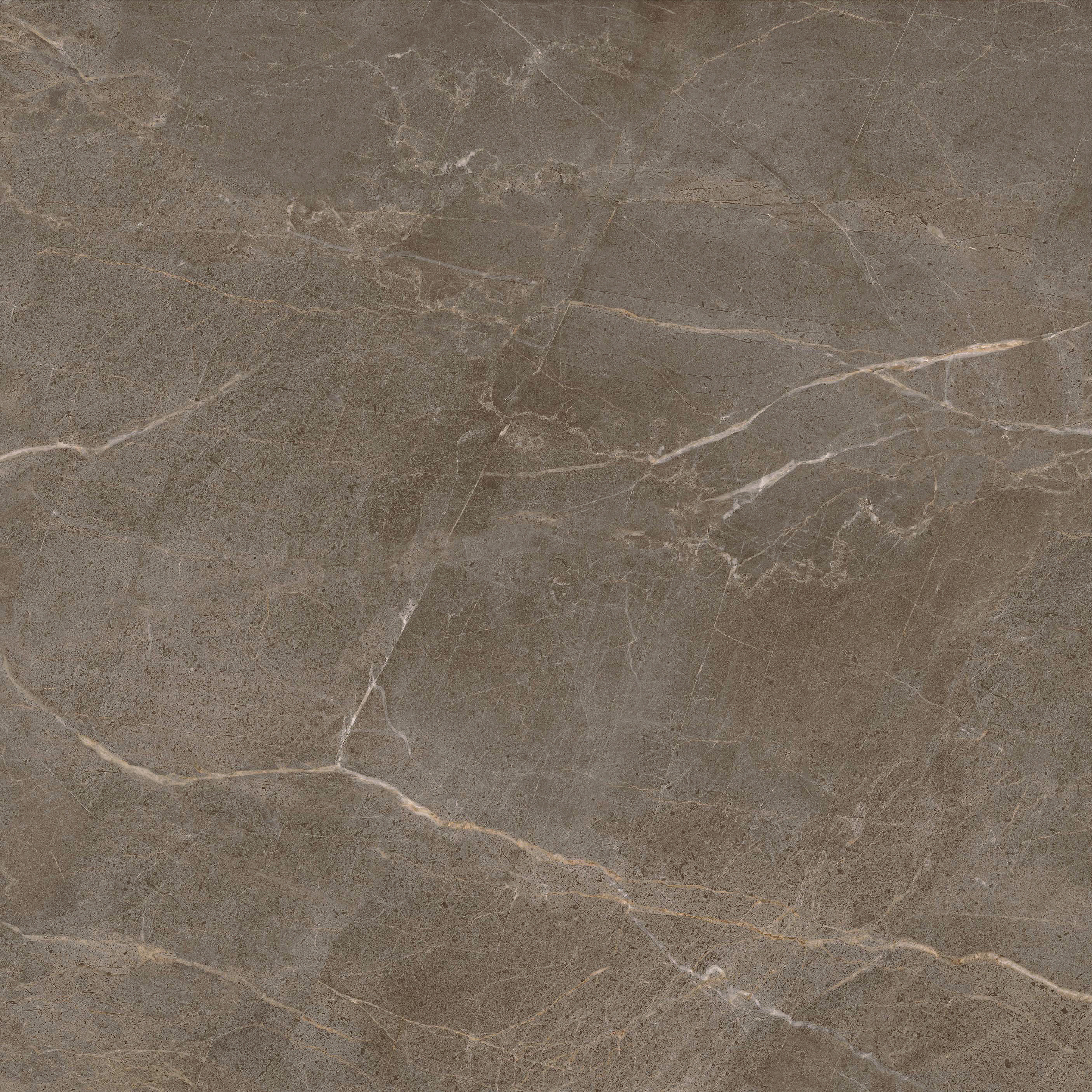 GA黄金甲·(中国区)官方网站