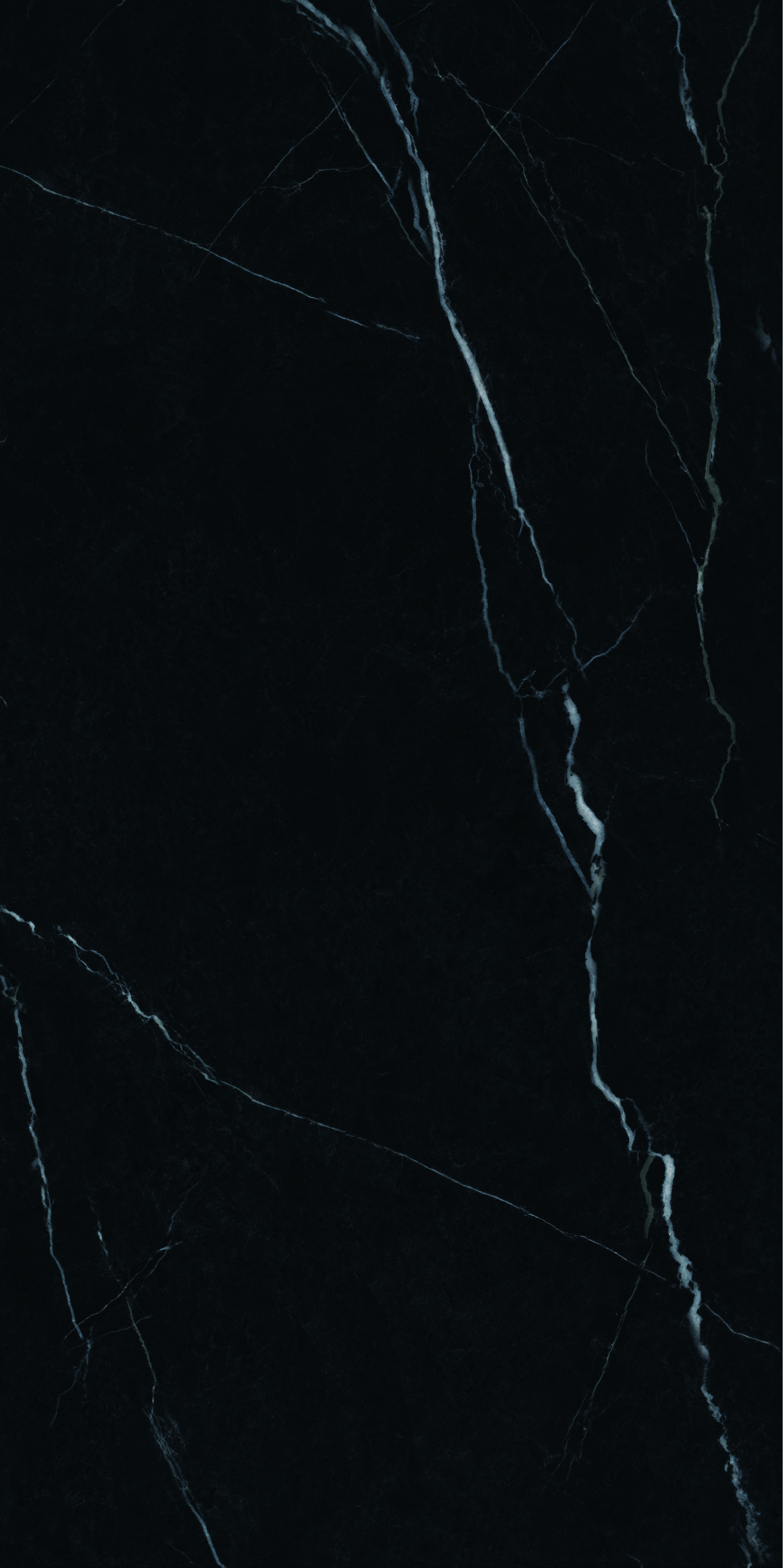 TPOG26003是非根（全抛）