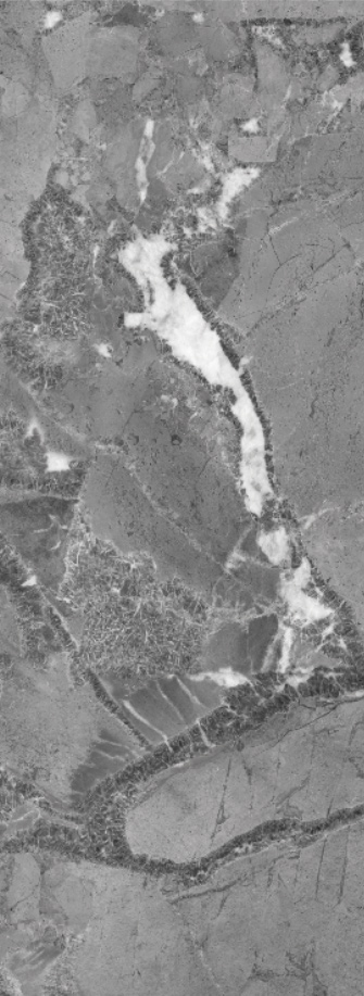 GA黄金甲·(中国区)官方网站