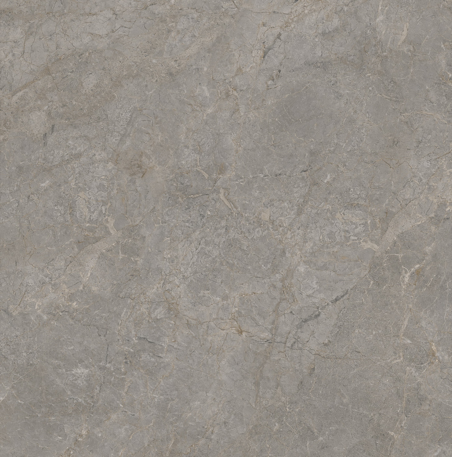 GA黄金甲·(中国区)官方网站