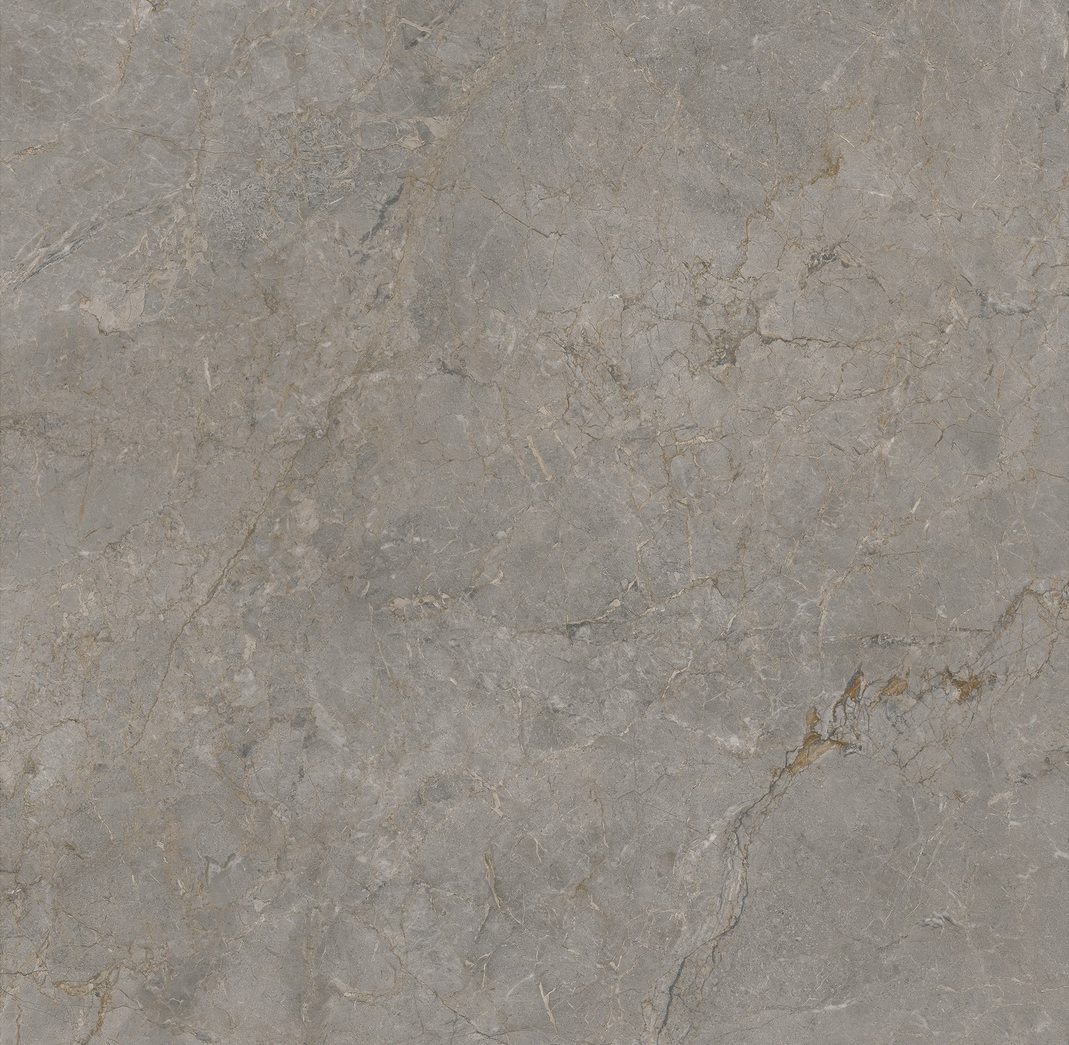 GA黄金甲·(中国区)官方网站