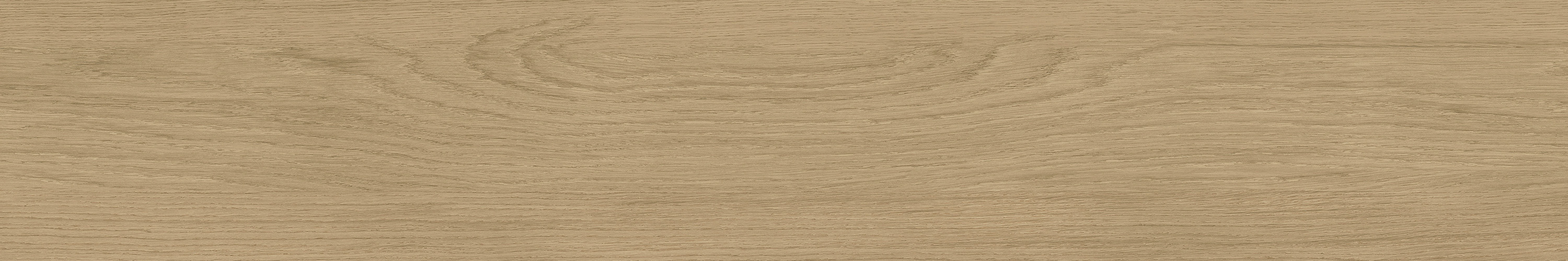 GA黄金甲·(中国区)官方网站