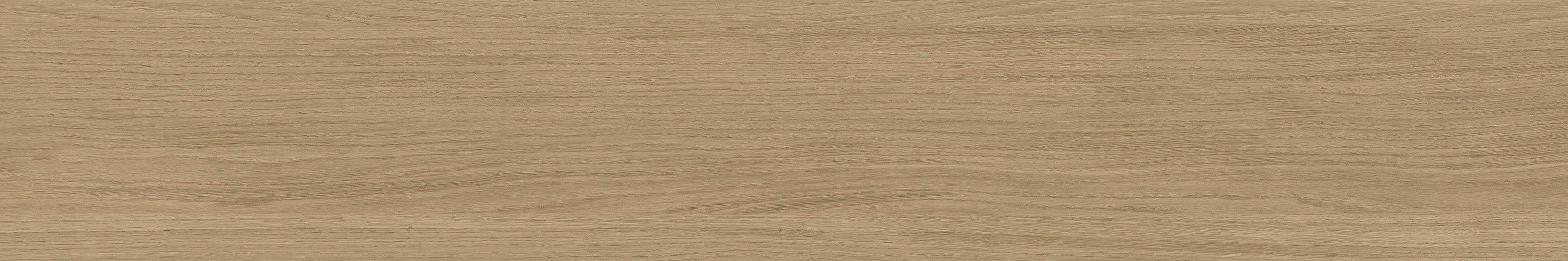 GA黄金甲·(中国区)官方网站