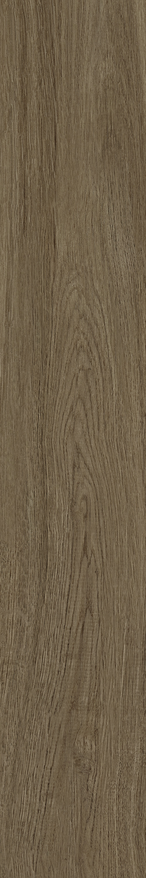 GA黄金甲·(中国区)官方网站