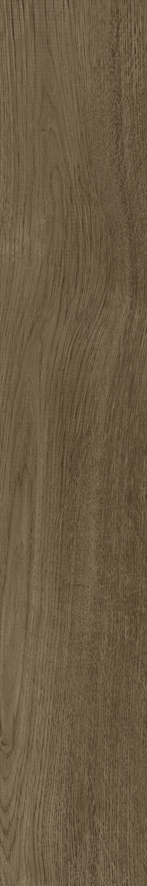 GA黄金甲·(中国区)官方网站