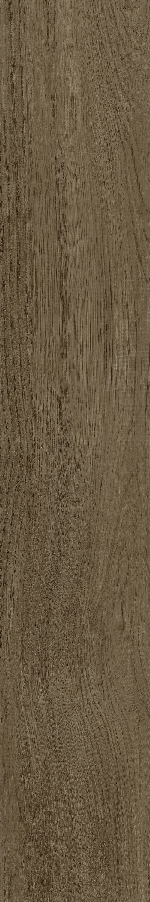 GA黄金甲·(中国区)官方网站