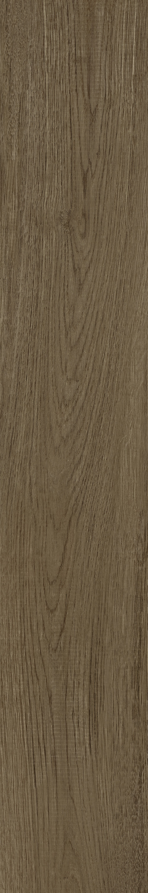 GA黄金甲·(中国区)官方网站