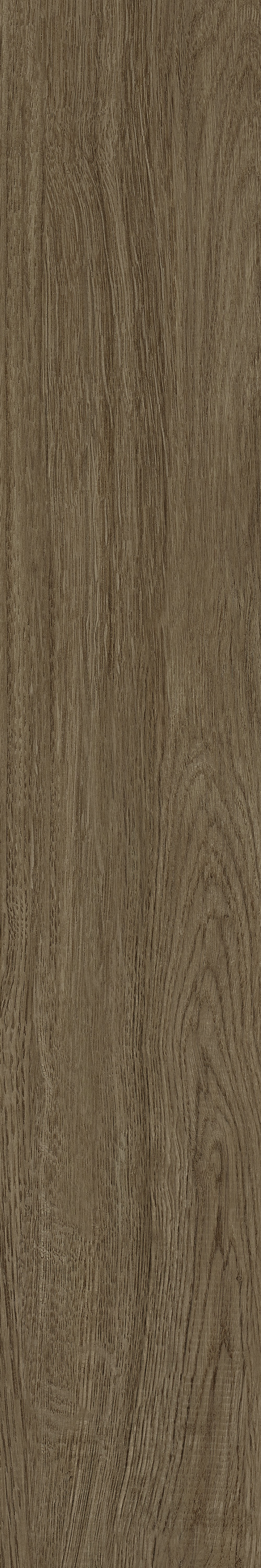 GA黄金甲·(中国区)官方网站