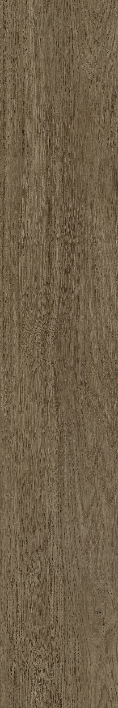 GA黄金甲·(中国区)官方网站