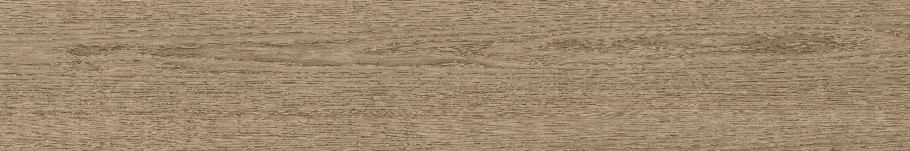 GA黄金甲·(中国区)官方网站