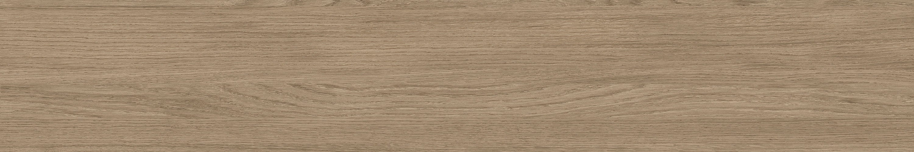 GA黄金甲·(中国区)官方网站