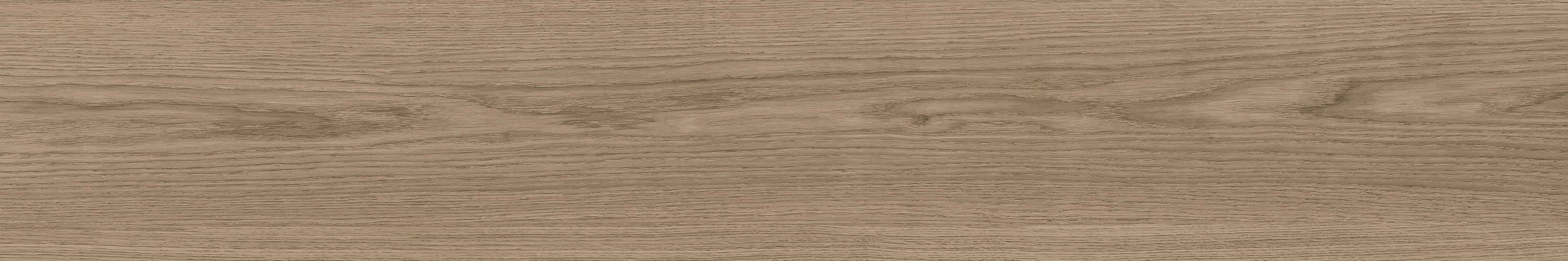 GA黄金甲·(中国区)官方网站