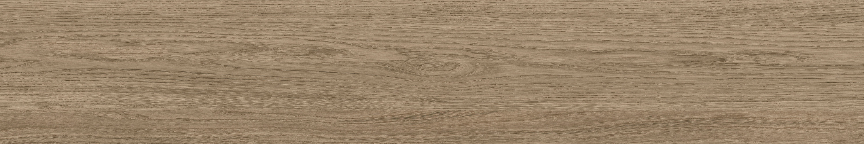 GA黄金甲·(中国区)官方网站