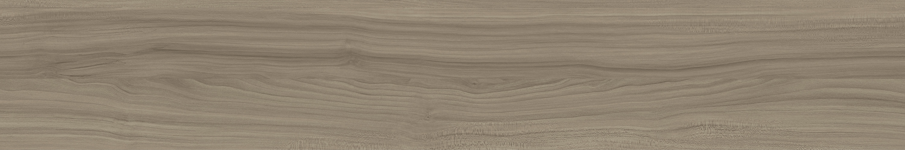 GA黄金甲·(中国区)官方网站