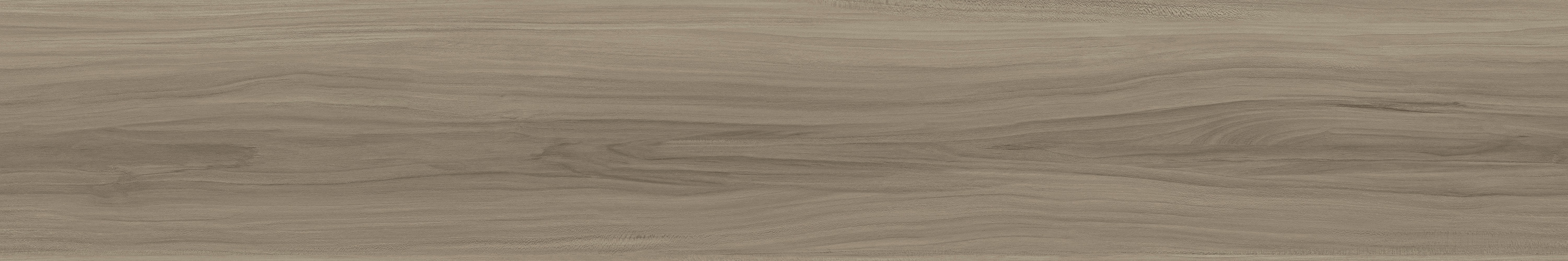 GA黄金甲·(中国区)官方网站