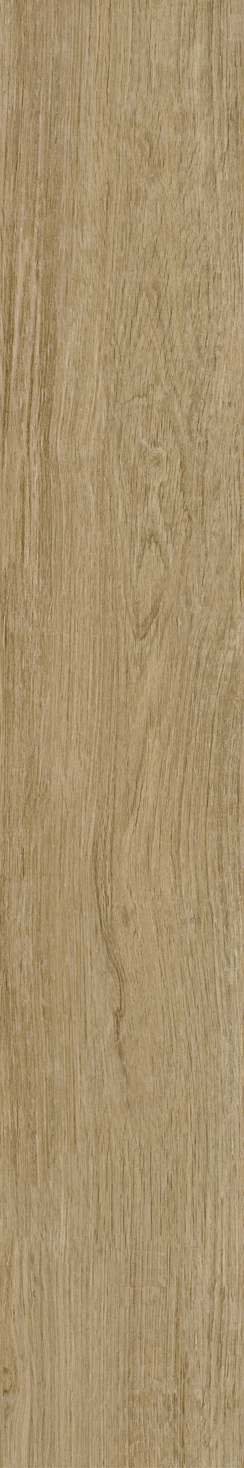 GA黄金甲·(中国区)官方网站