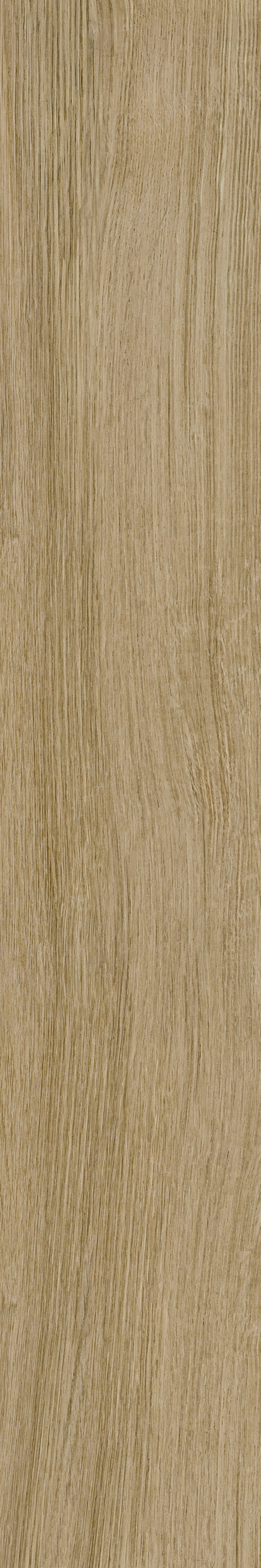 GA黄金甲·(中国区)官方网站