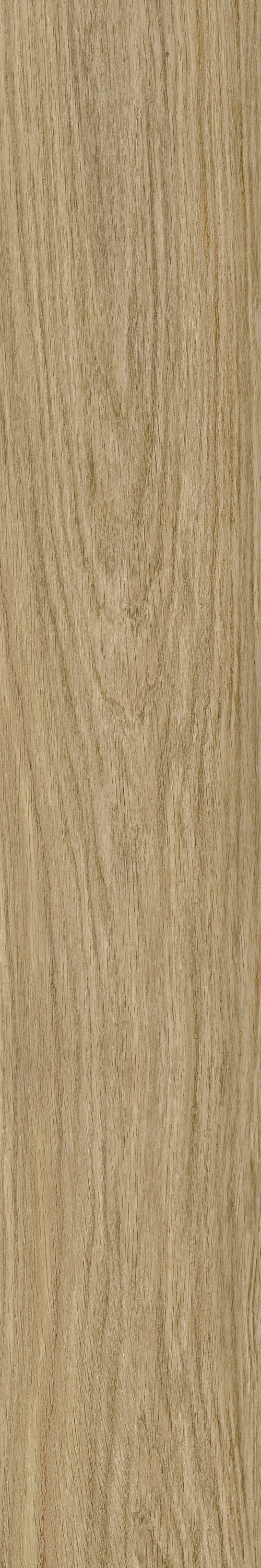 GA黄金甲·(中国区)官方网站