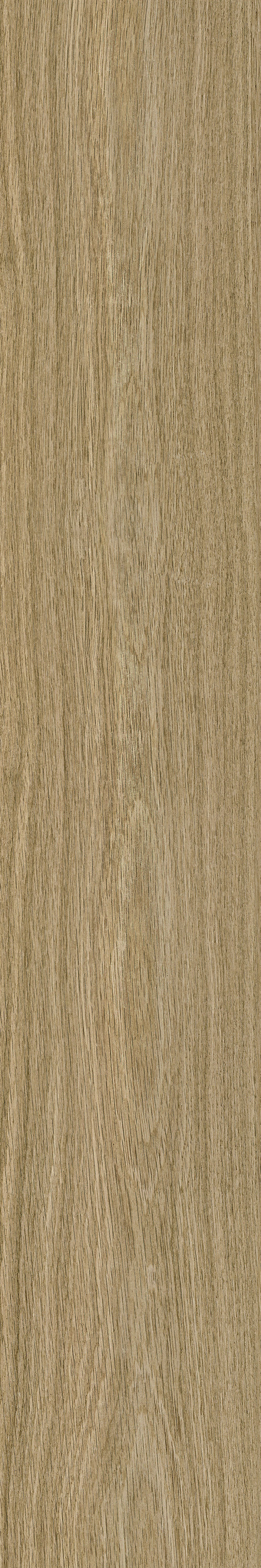 GA黄金甲·(中国区)官方网站