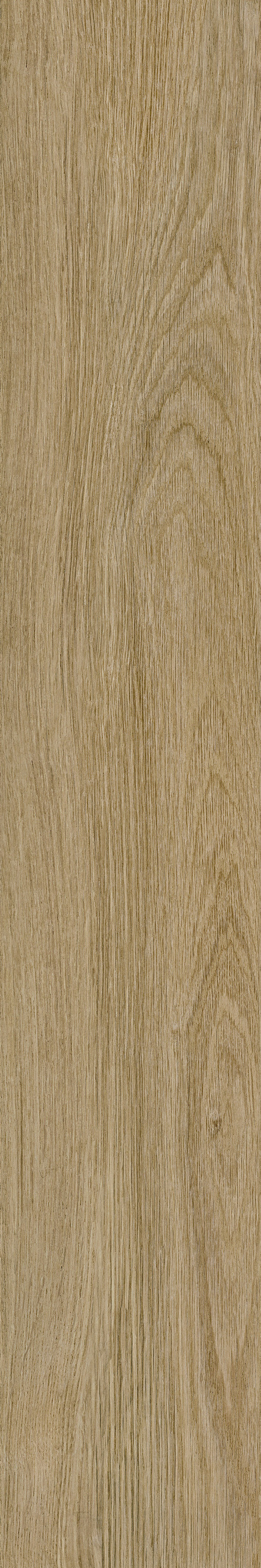 GA黄金甲·(中国区)官方网站