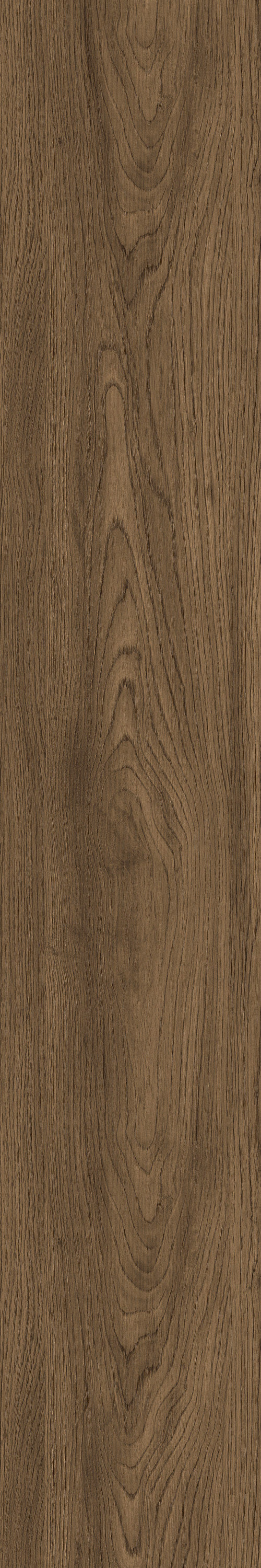 GA黄金甲·(中国区)官方网站