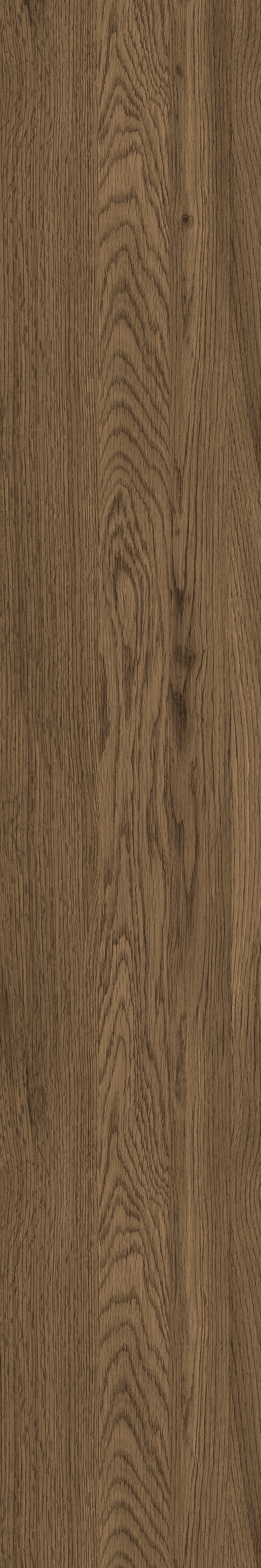 GA黄金甲·(中国区)官方网站