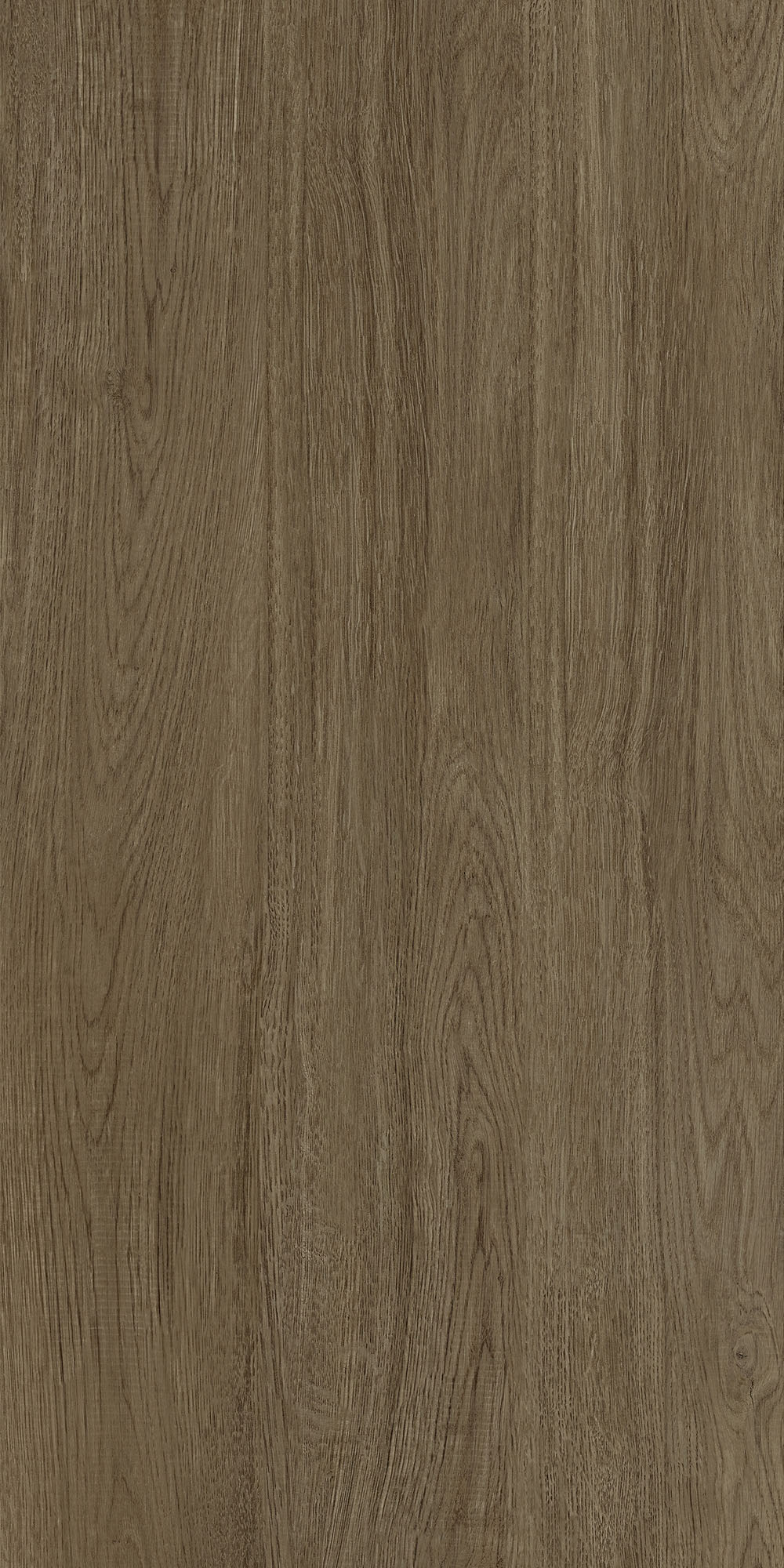 GA黄金甲·(中国区)官方网站