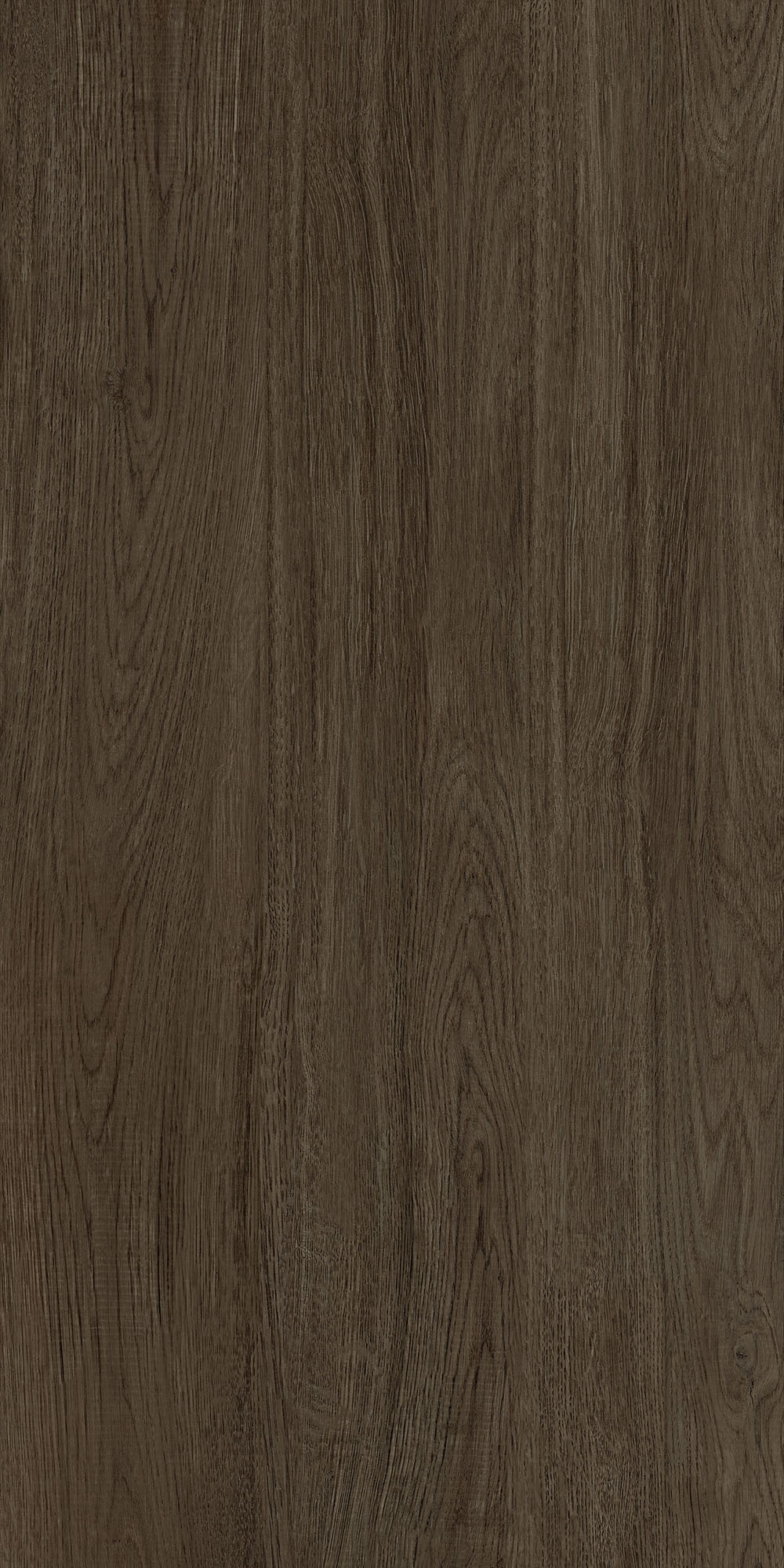 GA黄金甲·(中国区)官方网站