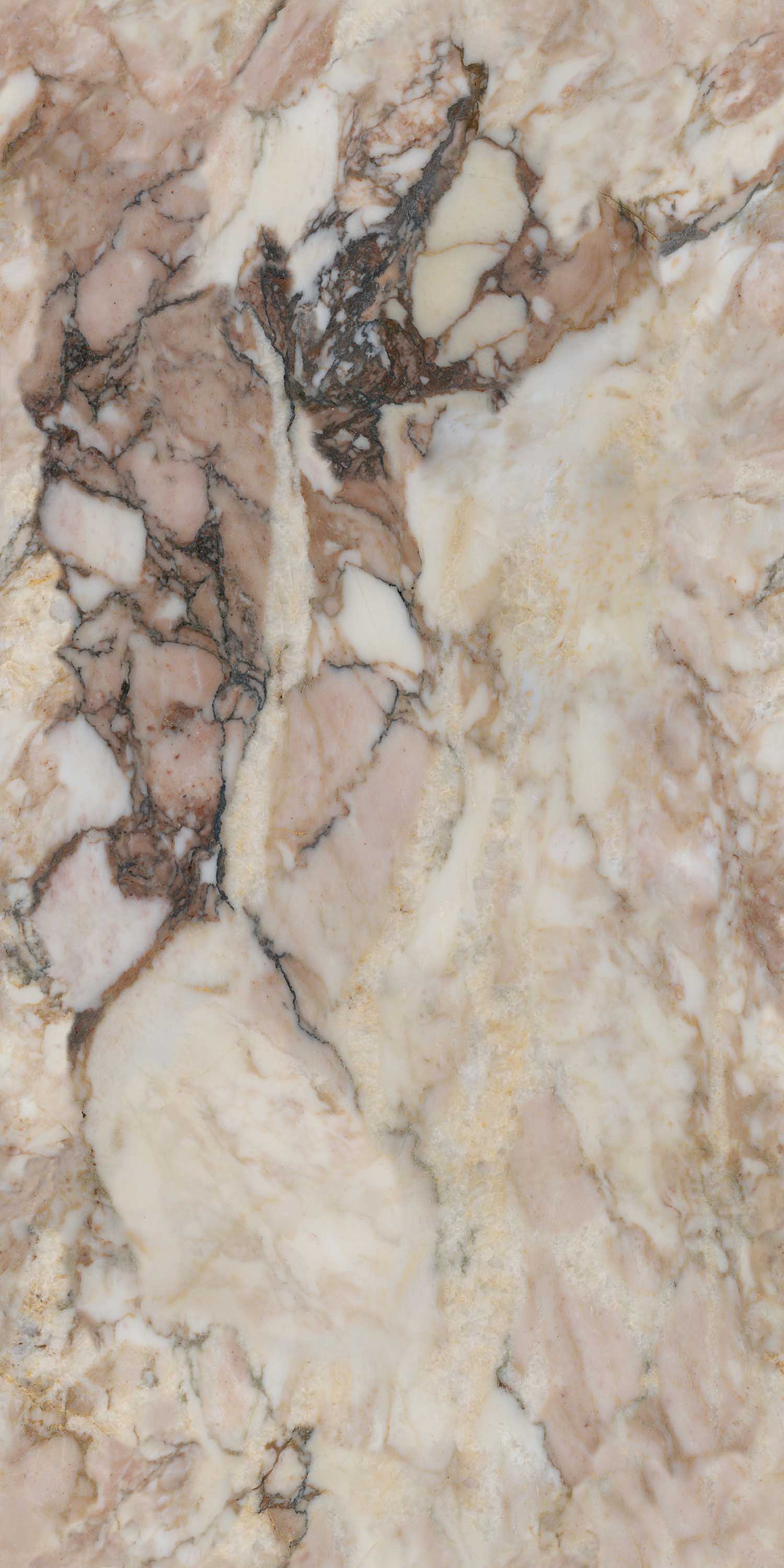 GA黄金甲·(中国区)官方网站