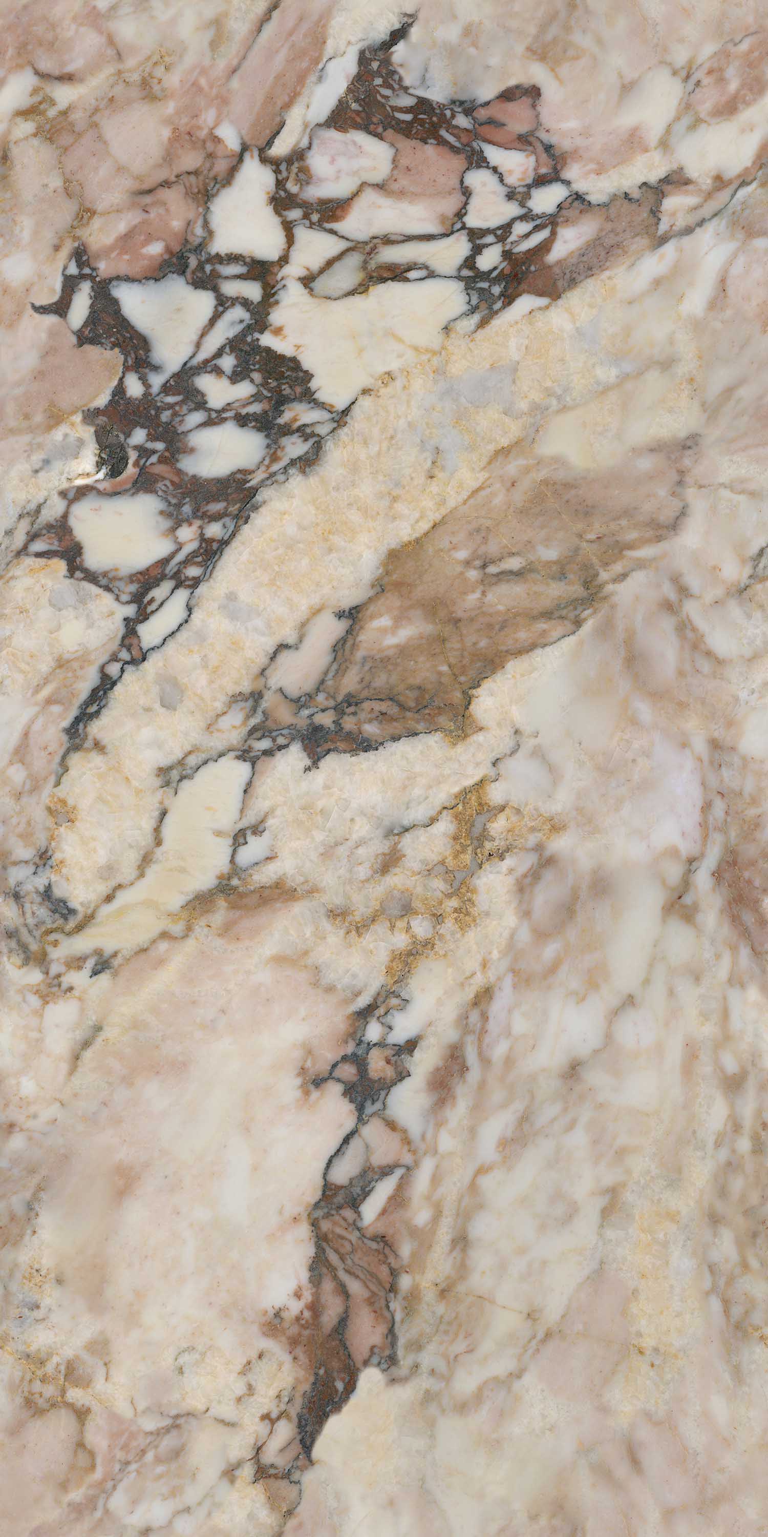 GA黄金甲·(中国区)官方网站