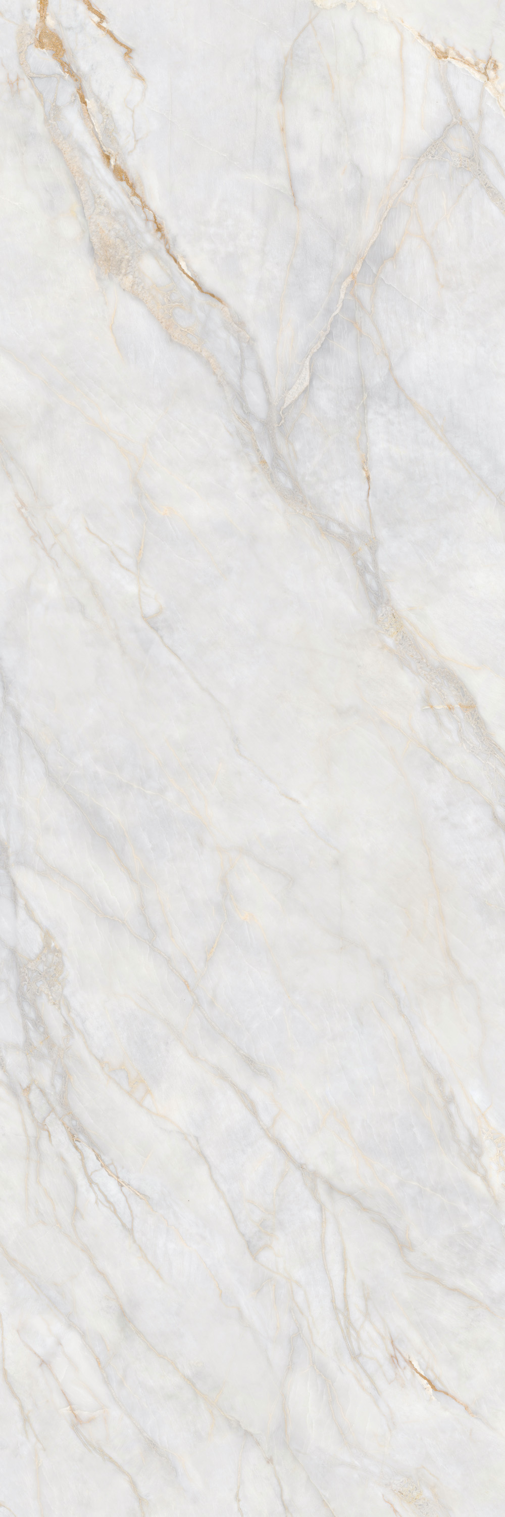 GA黄金甲·(中国区)官方网站