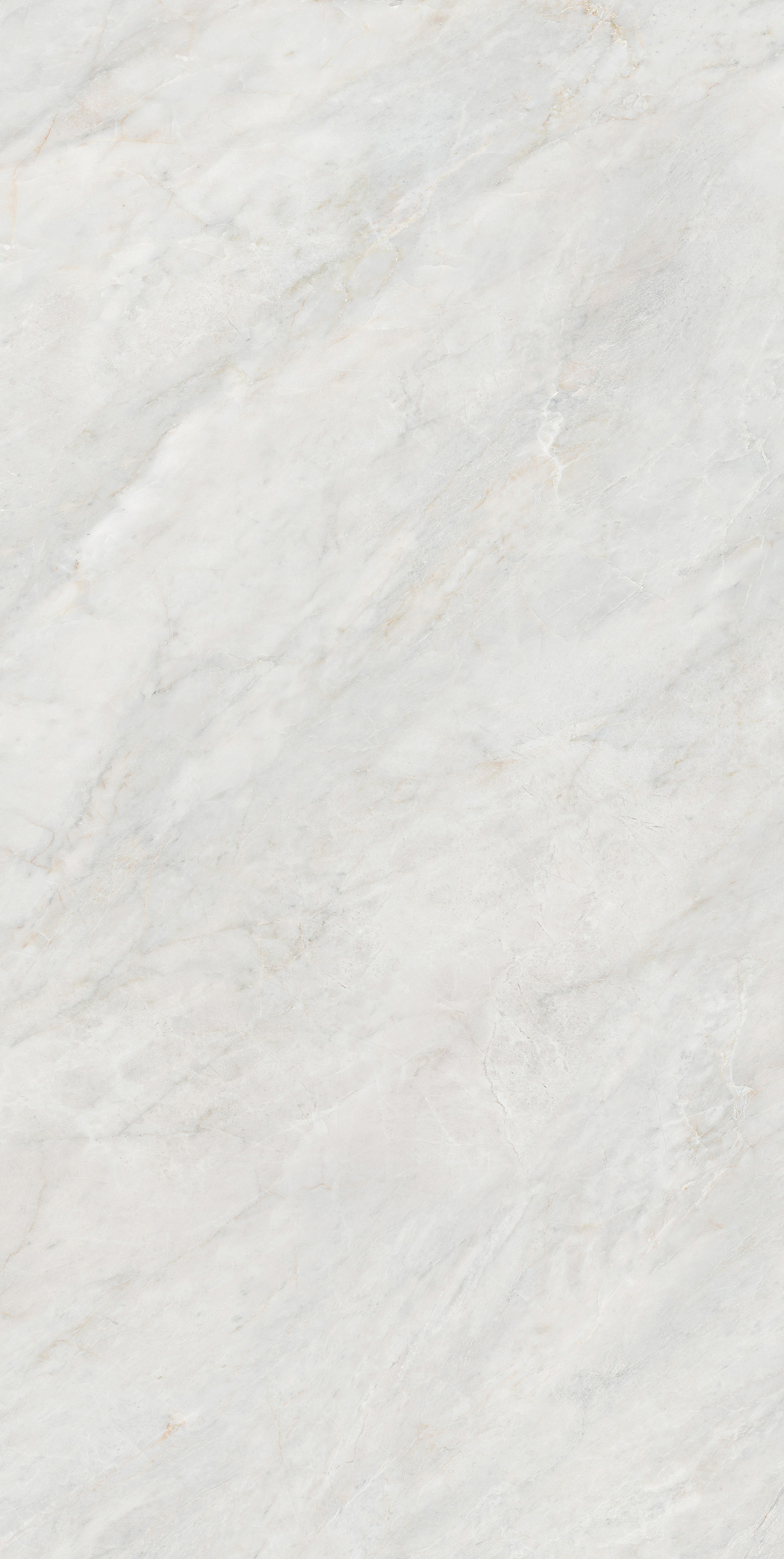 GA黄金甲·(中国区)官方网站