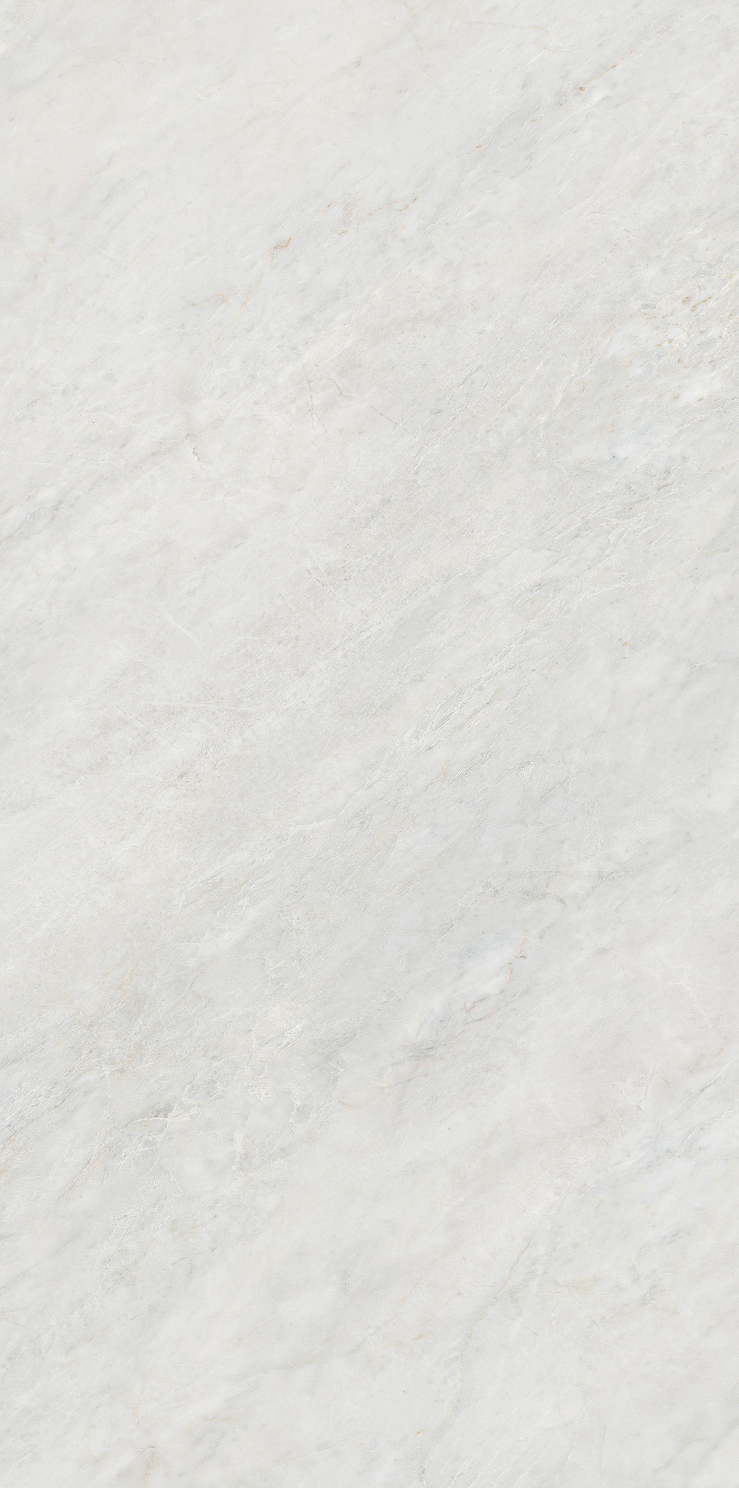 GA黄金甲·(中国区)官方网站