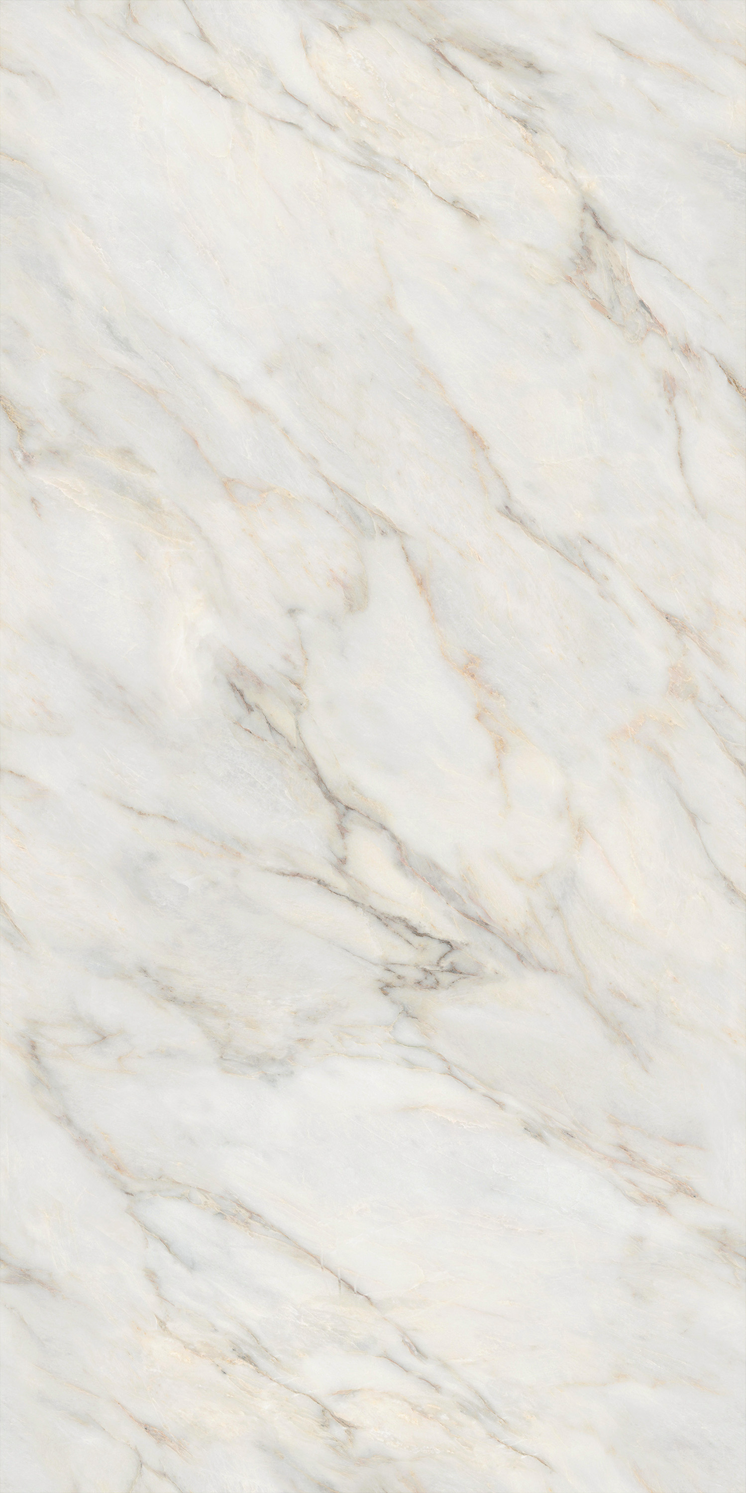 GA黄金甲·(中国区)官方网站