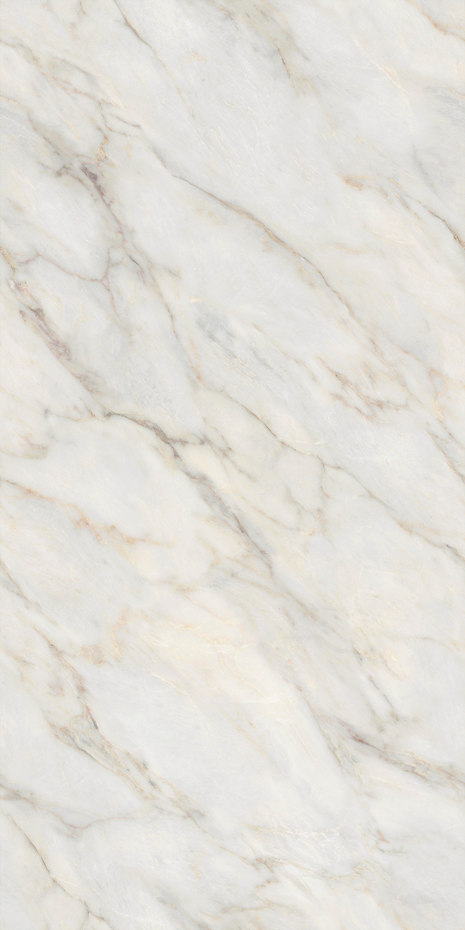 GA黄金甲·(中国区)官方网站